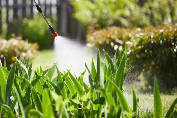 24/7 Emergency Mosquito Control experts in Waco, TX