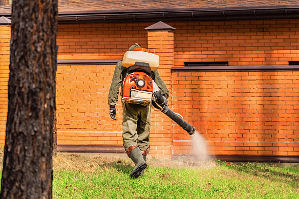 Top rated local Mosquito Control specialists in Waco, TX